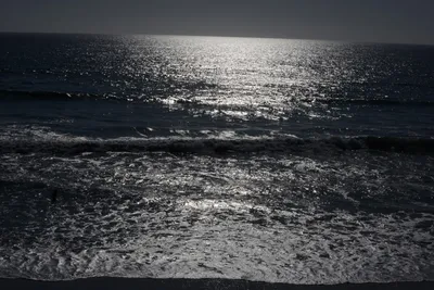 DSC_6943 (Large).JPG